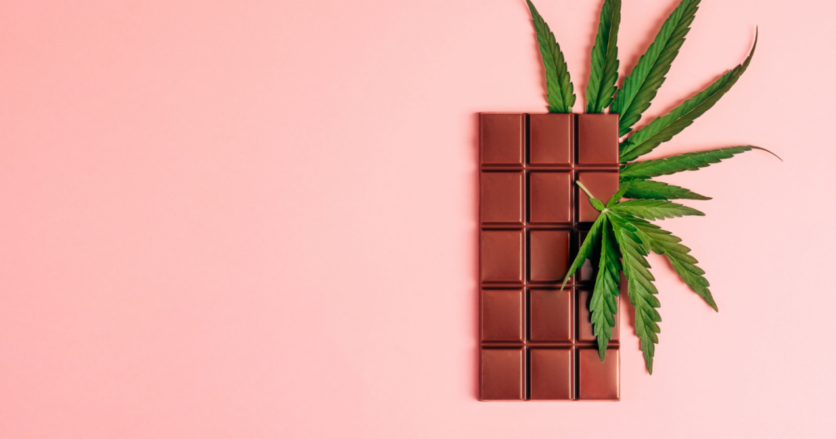 Kiva Confections: THC Chocolate Bars Review