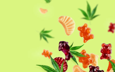 Brand Spotlight: Wyld THC Gummies