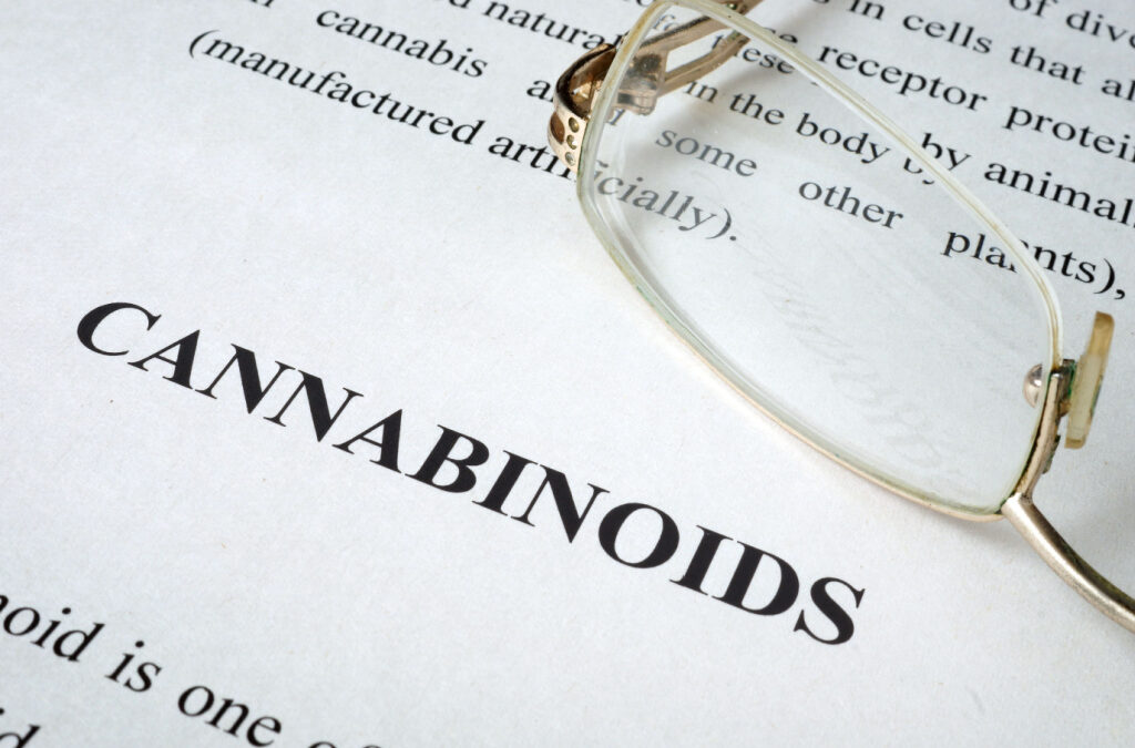 CBN vs CBD vs CBG: What is the Difference Between These Cannabinoids?