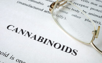 CBN vs CBD vs CBG: What is the Difference Between These Cannabinoids?